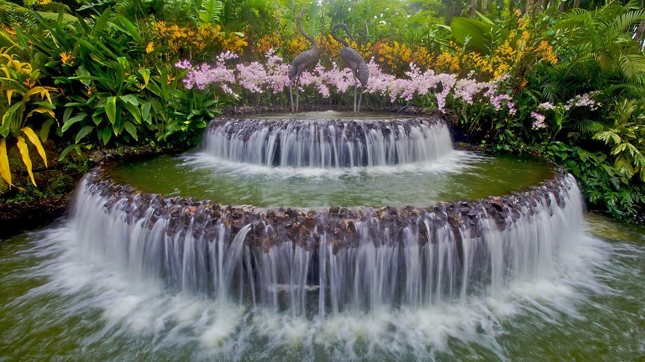 Taman Botanic Garden Singapura Situs Unesco untuk Prewedding