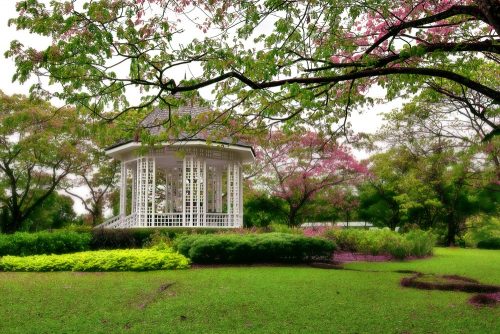 Indahnya Taman Singapura Sudah Bagus Gratis Lagi