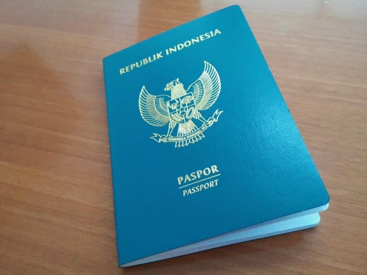 Синий паспорт