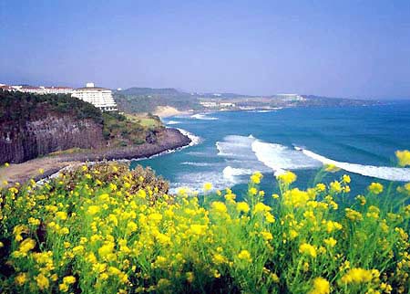 Jeju Island