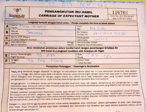 Hamil Naik Pesawat Ke Luar Negeri B Ini Pengalaman Kami